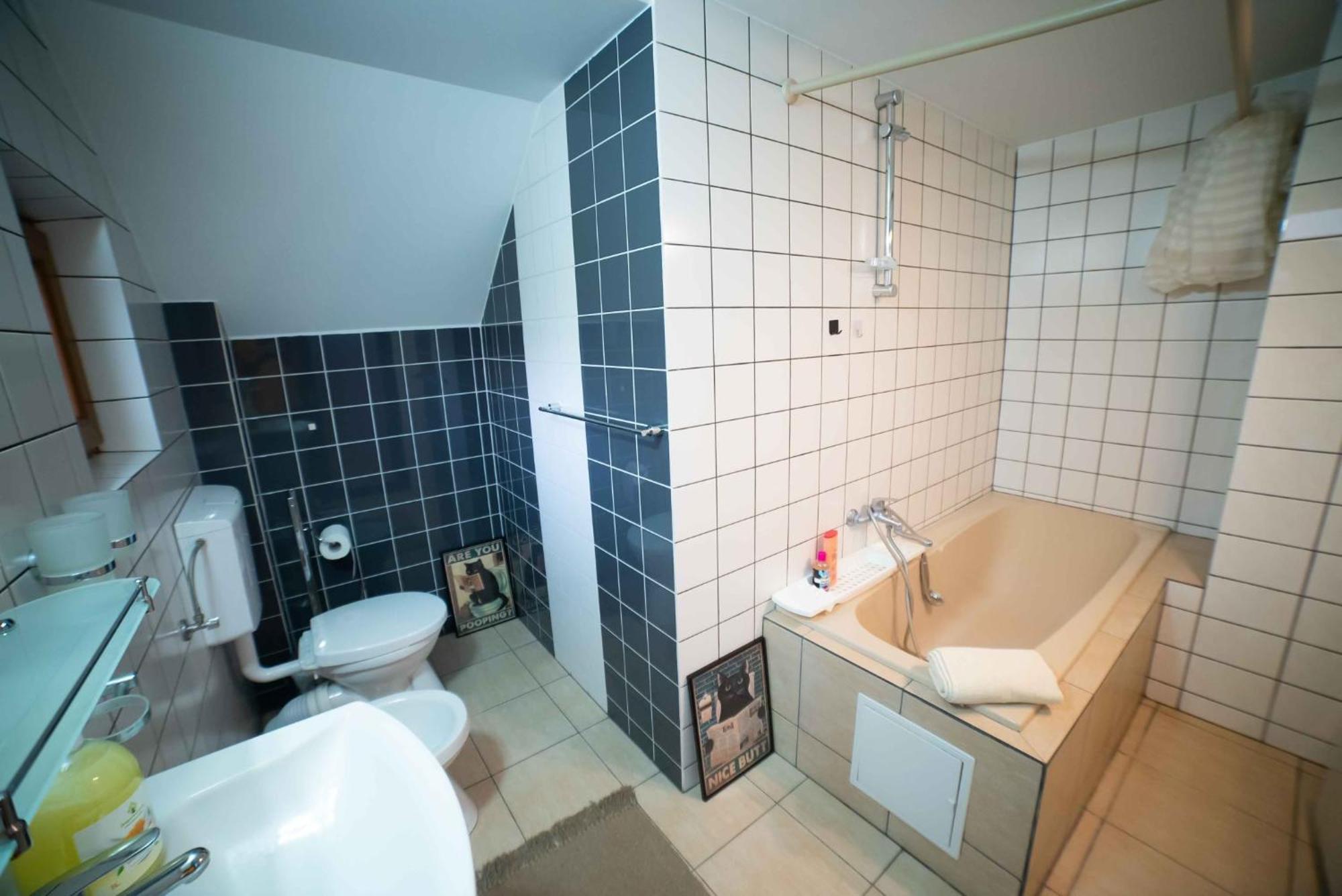 Full-House Si Gradina In Bucovina, Lisaura Villa Eksteriør bilde